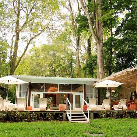 Gigi Brown Villa Frida Beachfront Puerto Viejo de Talamanca Екстериор снимка