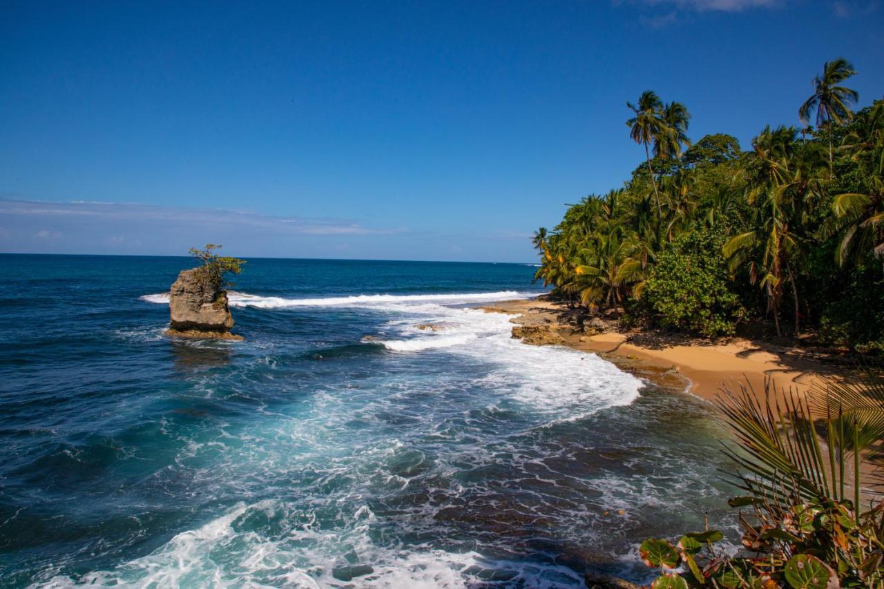 Gigi Brown Villa Frida Beachfront Puerto Viejo de Talamanca Екстериор снимка