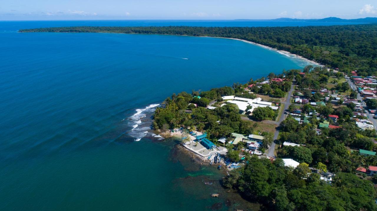 Gigi Brown Villa Frida Beachfront Puerto Viejo de Talamanca Екстериор снимка