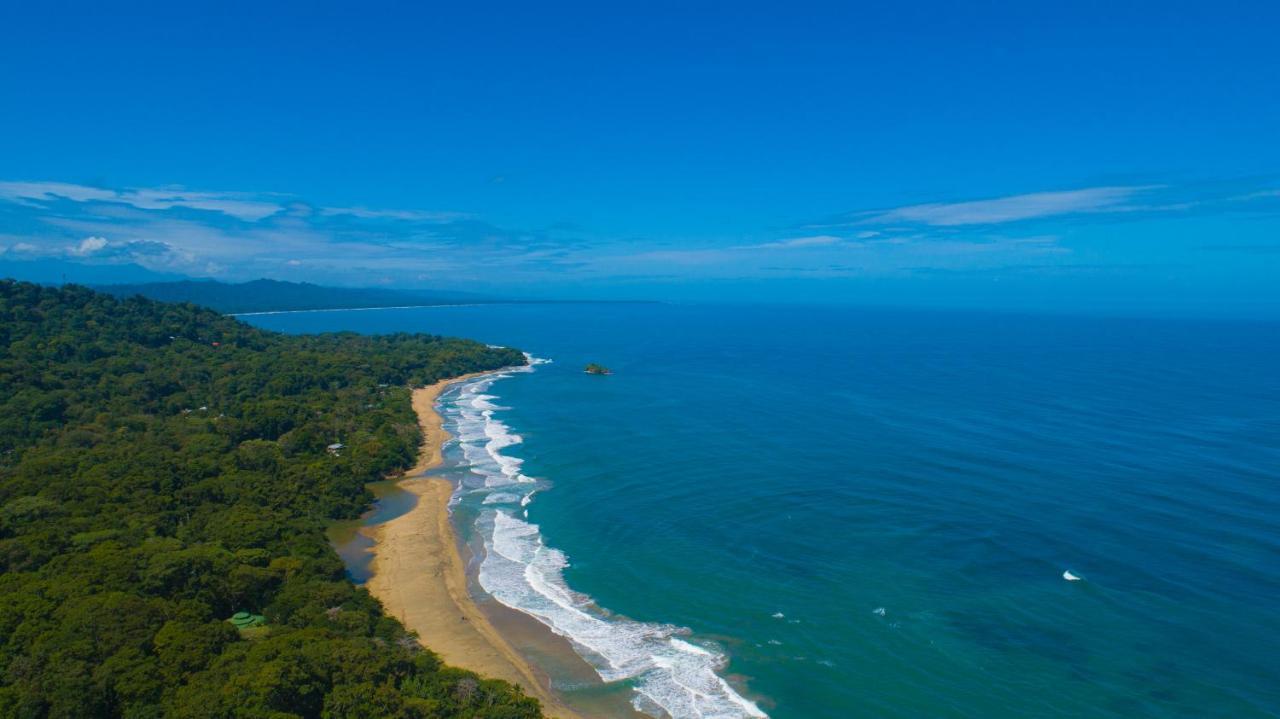 Gigi Brown Villa Frida Beachfront Puerto Viejo de Talamanca Екстериор снимка